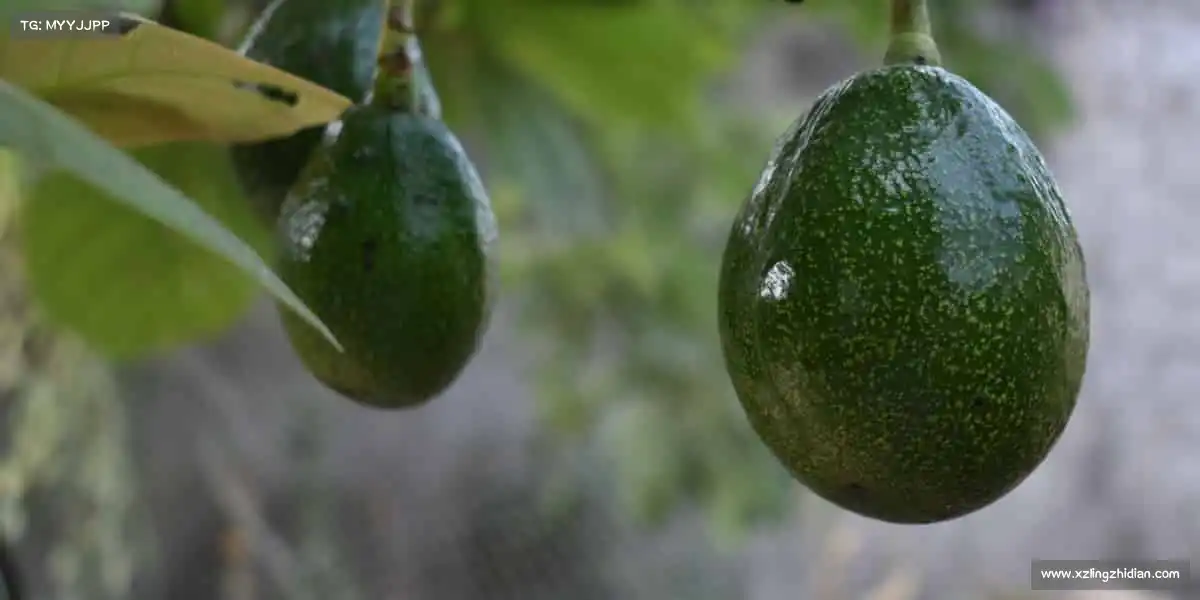 AG庄闲集团🏊♀️碧波中迸发力量,赛场上绽放光芒 —— 你的精彩,值得被看见!