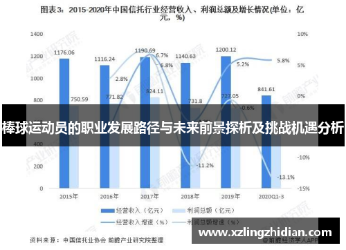 棒球运动员的职业发展路径与未来前景探析及挑战机遇分析